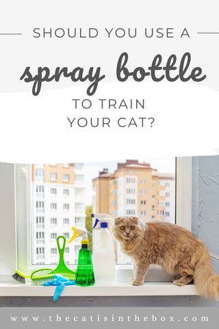 should you use a spray bottle to train your cat - Pinterest-friendly pin