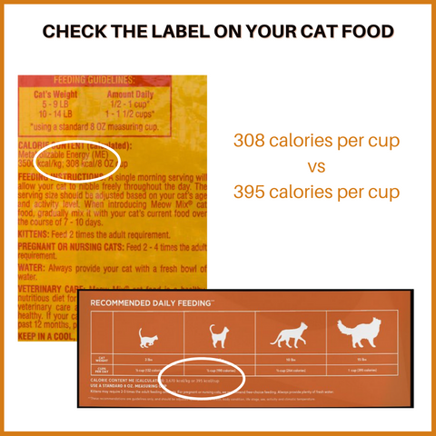 How Much Should I Feed My Cat? – Cat In The Box Llc