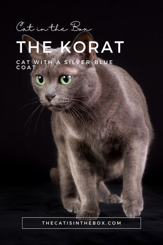 The Korat