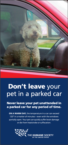 Humane Society flyer about leaving pets in a hot car