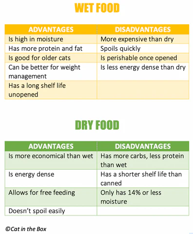 wet food vs dry food advantages and disadvantages chart