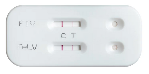 test for FeLV and FIV