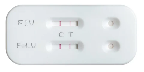 test for FeLV and FIV