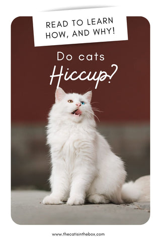 Do cats hiccup? Pinterest-friendly pin