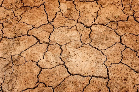 dry cracked ground