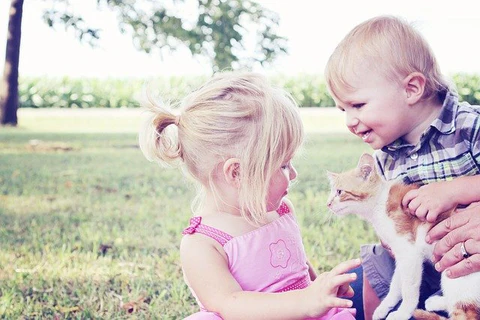 toddlers playing with an orange and white kitten