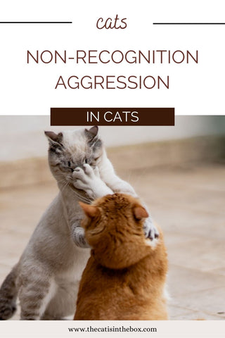 non-recognition aggression in cats pinterest friendly pin