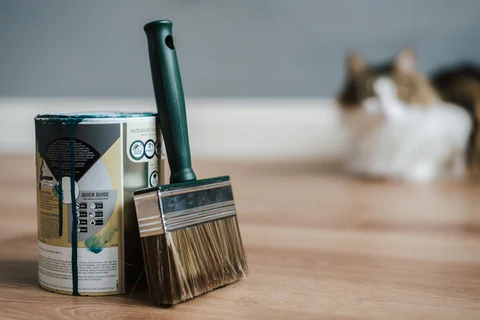 paint can and brush in a room with a cat