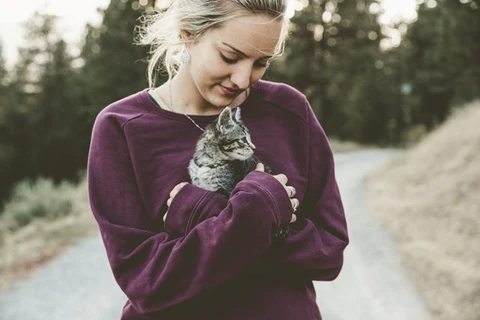 kitten and person