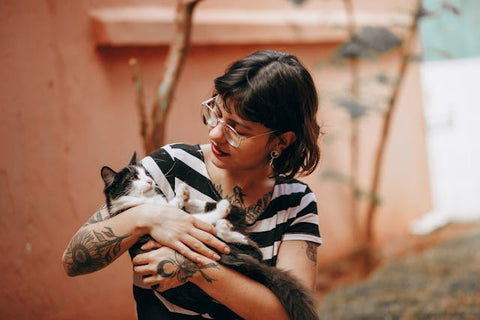 cat loving a person