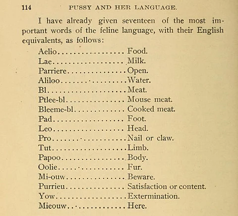 Pussy and her language by Professor Alphonse Leon Grimaldi 