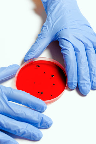 scientist holding petri dish