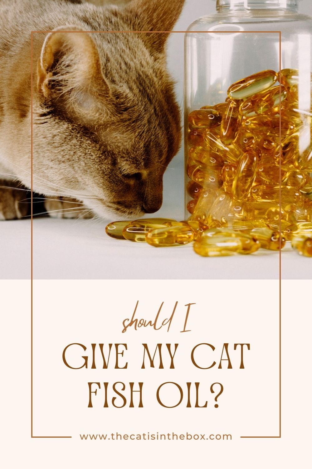 pinterest-friendly pin about cats fish oil