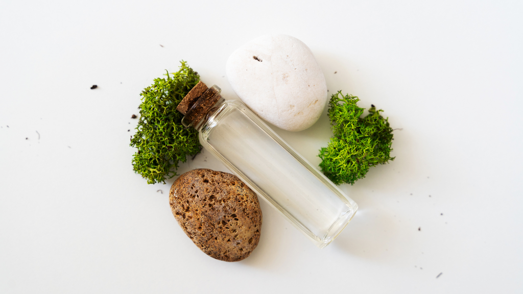 Sea moss capsule supplements