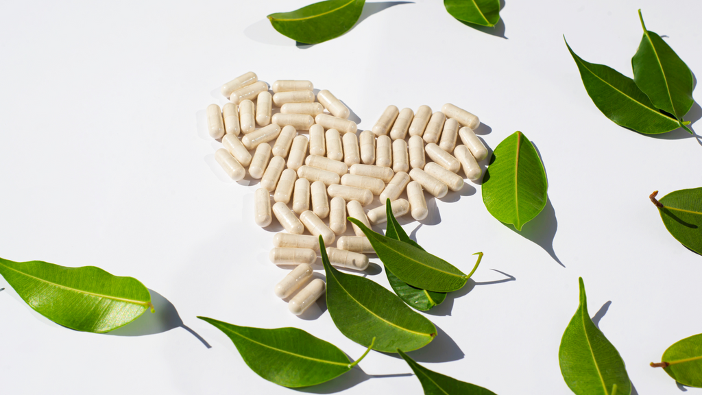 Choosing the Best Empty Vegetarian Capsules for your Nutraceutical Products: A Simple Guide