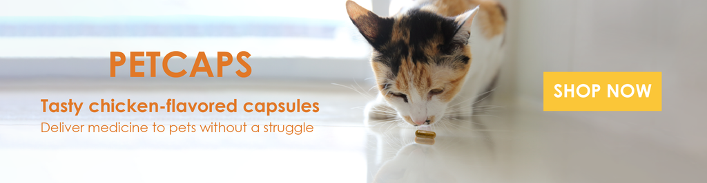 Buy Empty Capsules for Pets