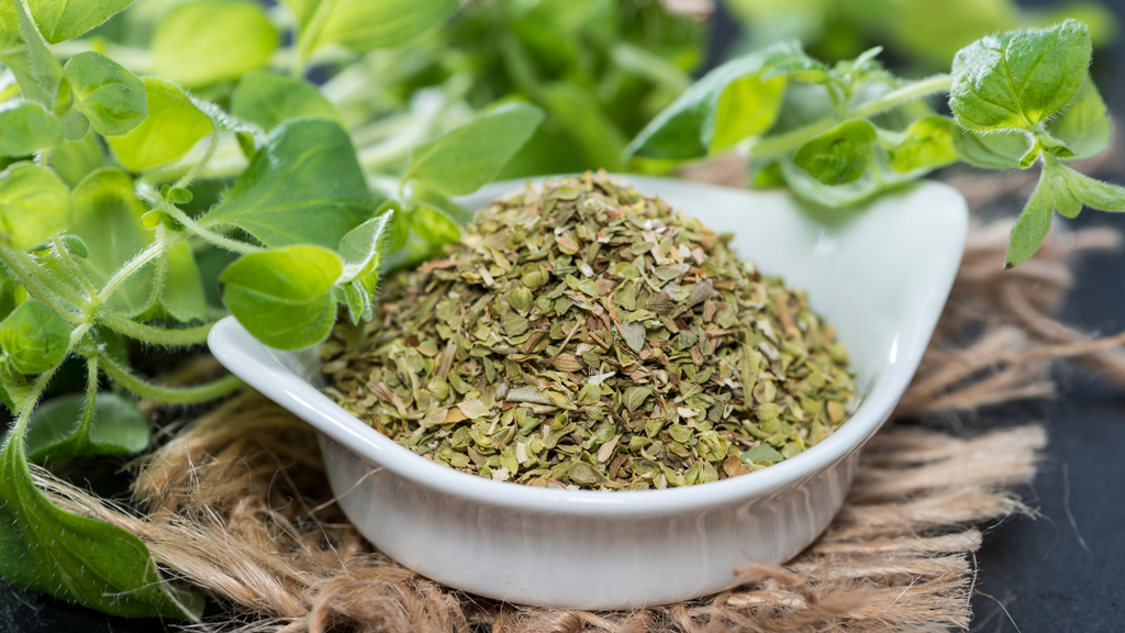 Oregano: Not just a pizza topping