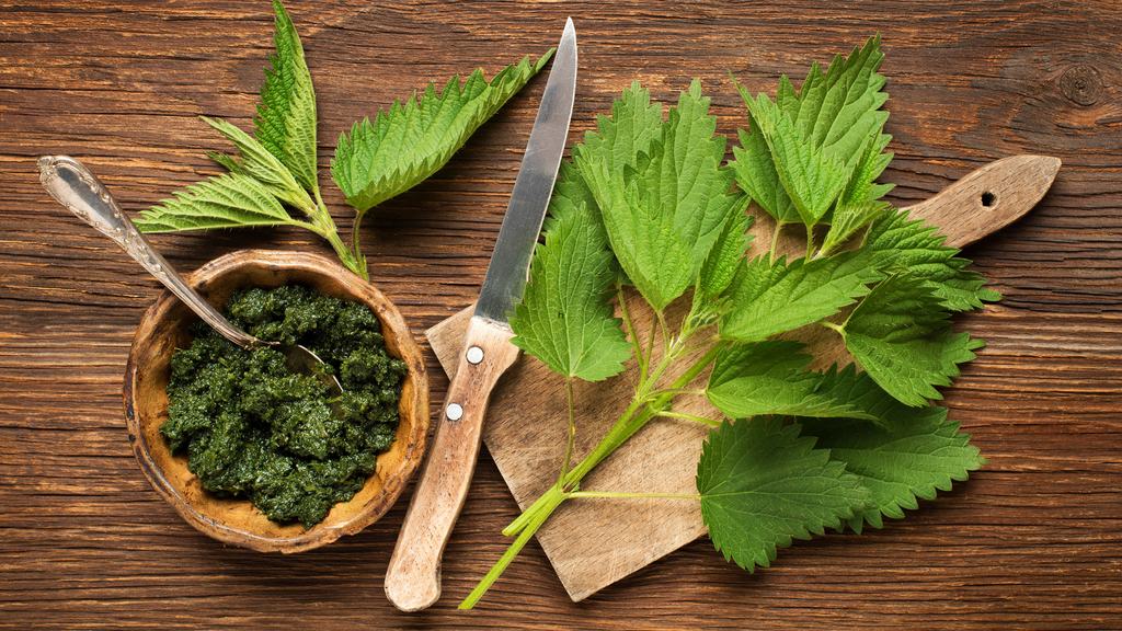 Benefits of Nettle