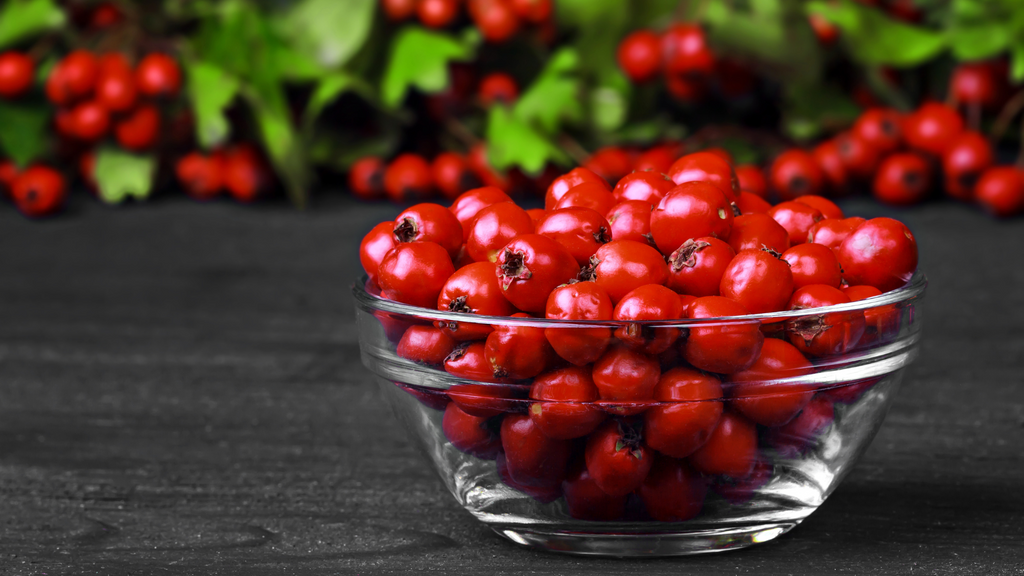 Hawthorn Berry Benefits