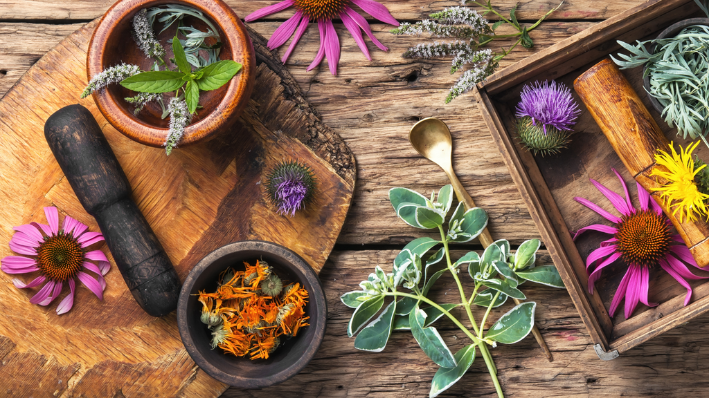 Benefits of herbs to make your own supplements