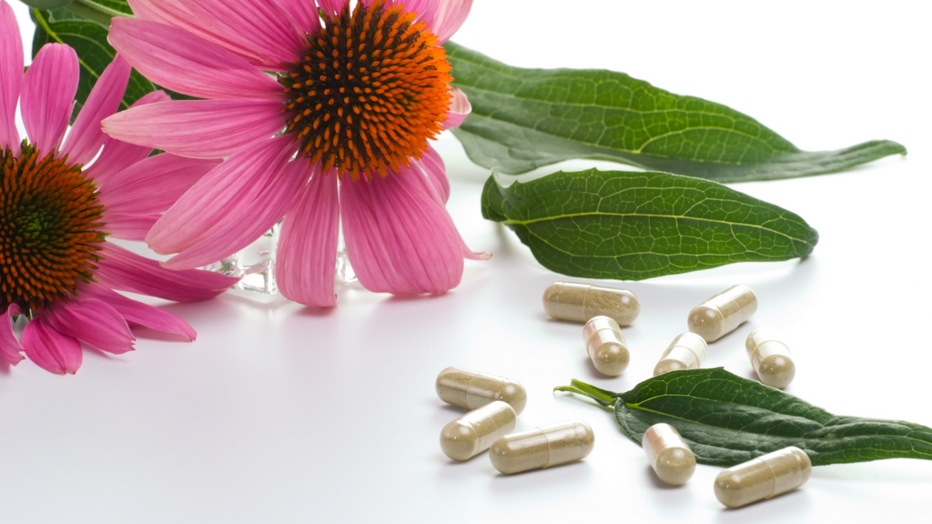 Echinacea Capsule Supplements