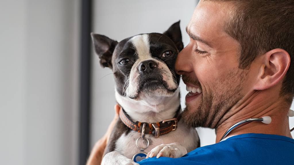 Medicate your pet with empty capsules