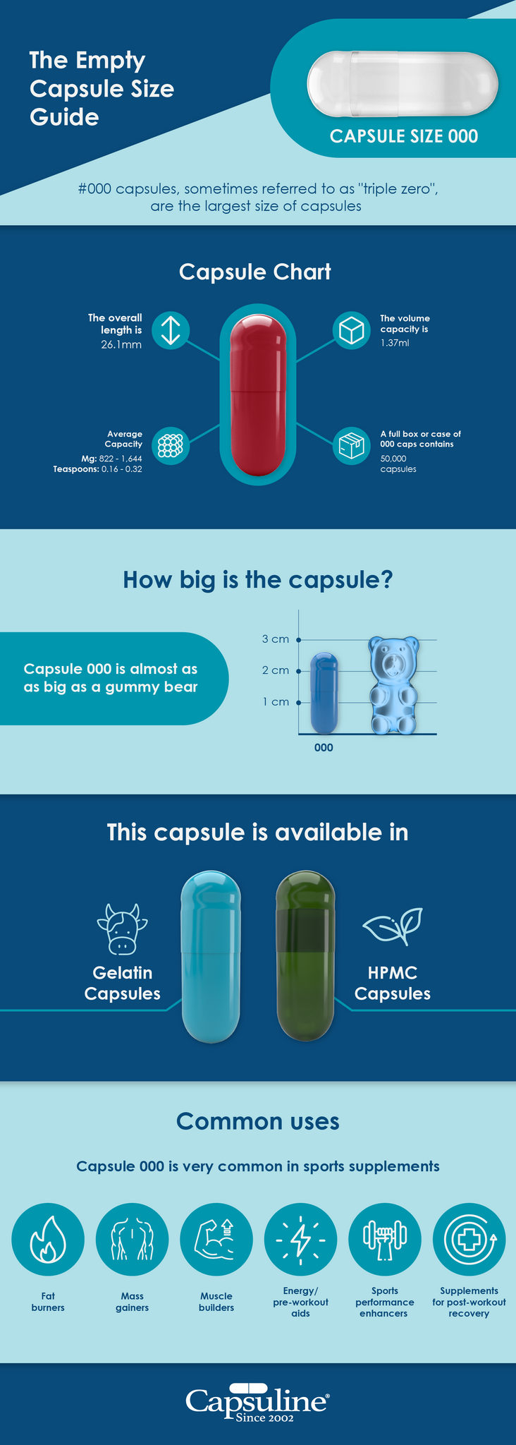 The Empty Capsule Size Guide: Capsule Size 000