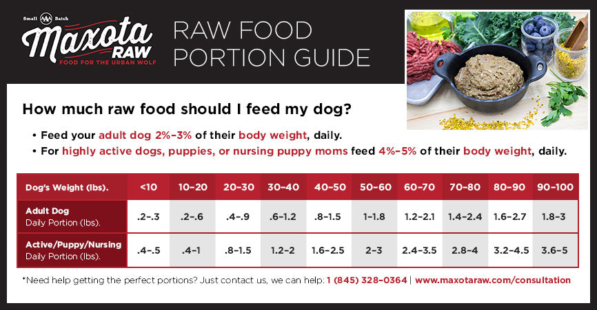 Dog Food Portions Chart