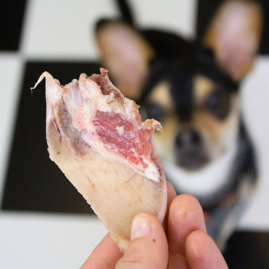 are bone marrow bones good for dogs