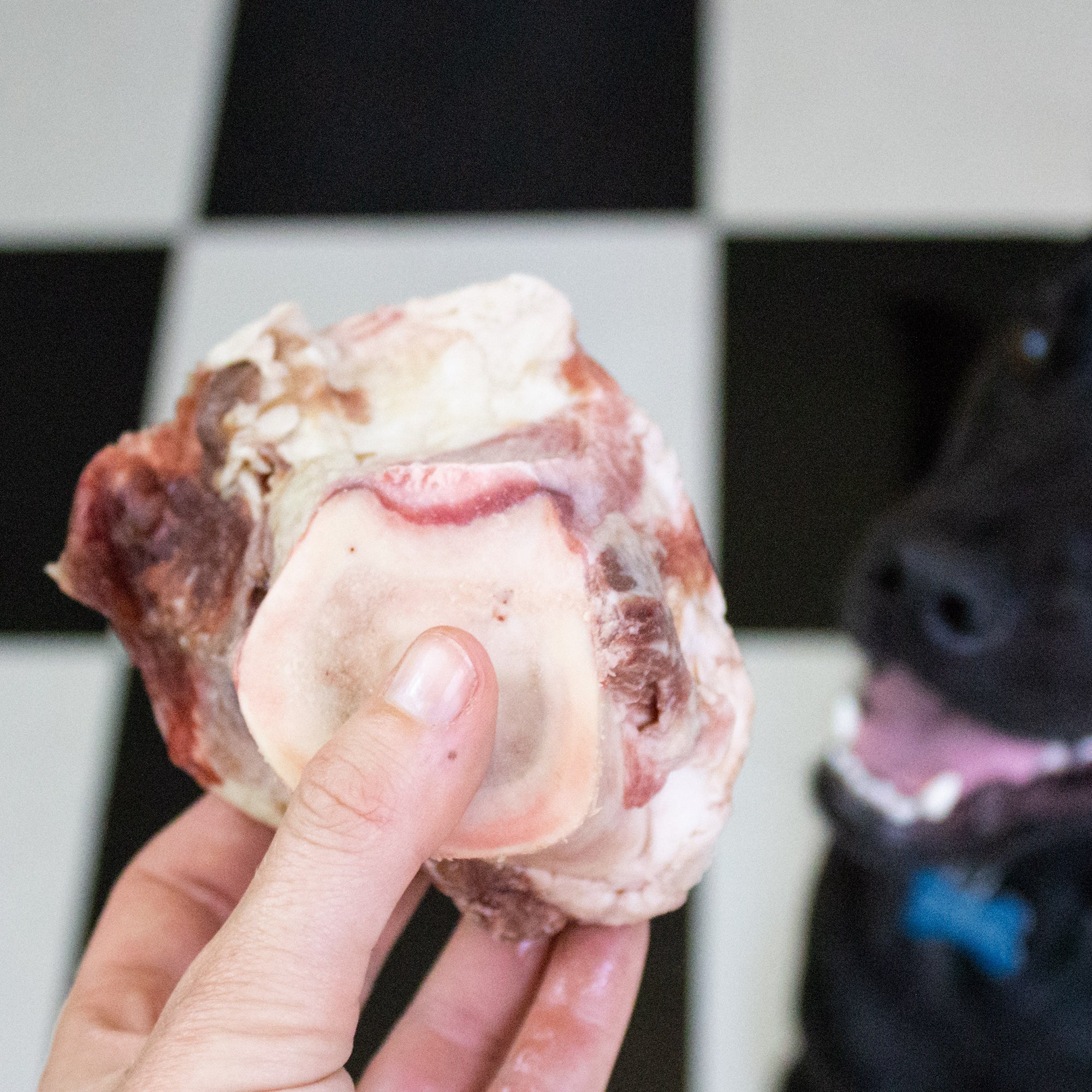 raw beef bone marrow for dogs