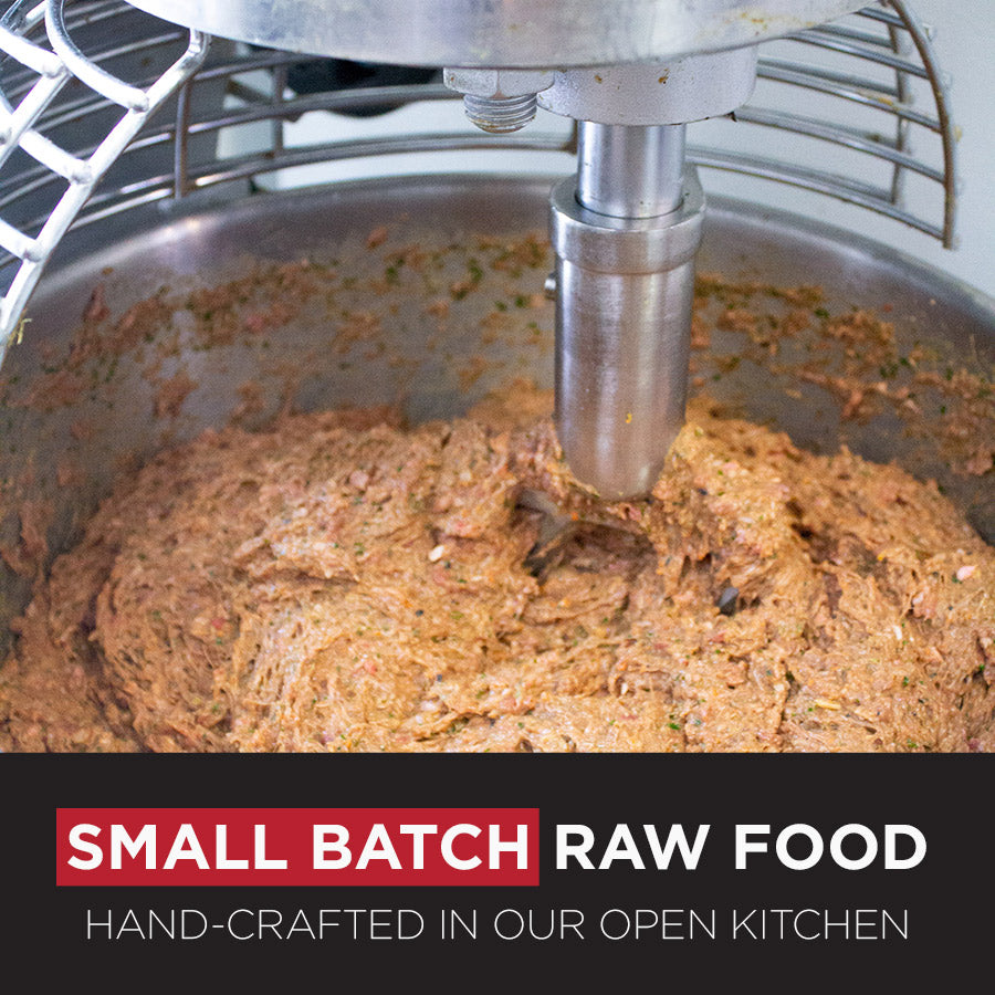 Maxota Raw Dog Food Hand Crafted In San Diego Duck Recipe