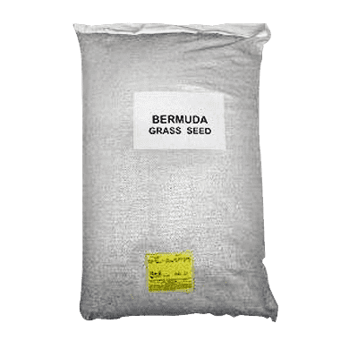 Giant Bermuda Grass Seed - (Hulled Raw) – hancockseed.com