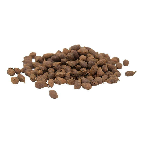 Perennial Peanut Seed Hancockseed Com