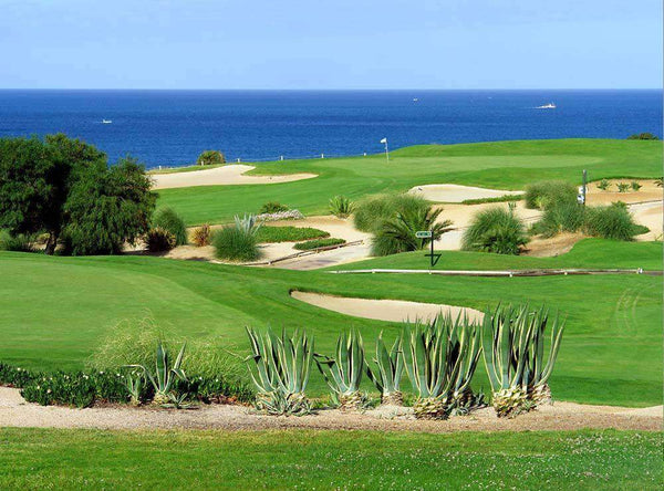 seashore paspalum hawaii