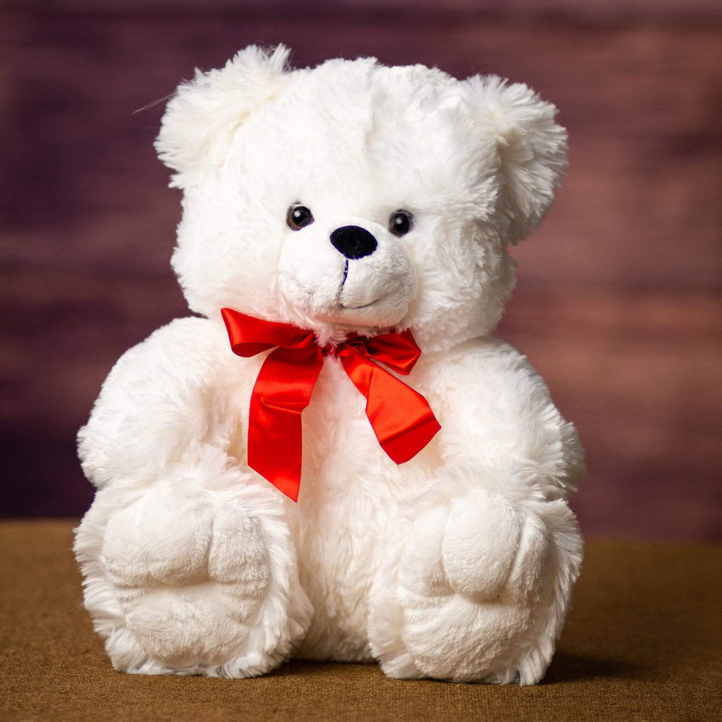 white teddy bear valentines day