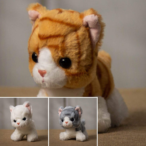 bulk plush kittens