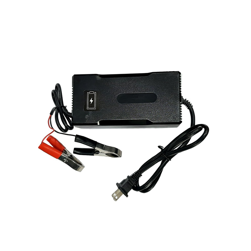 Chargeur 240W-10A pour batterie 12V Lithium Fer Phosphate