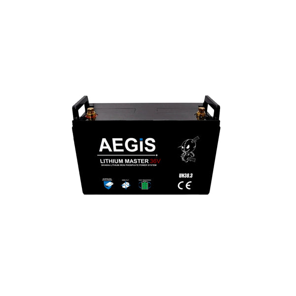 Batterie Lithium fer phosphate (LIFEPO4) ACEDIS 36V 16,5Ah LIFE36-16,5 -  MANETCO