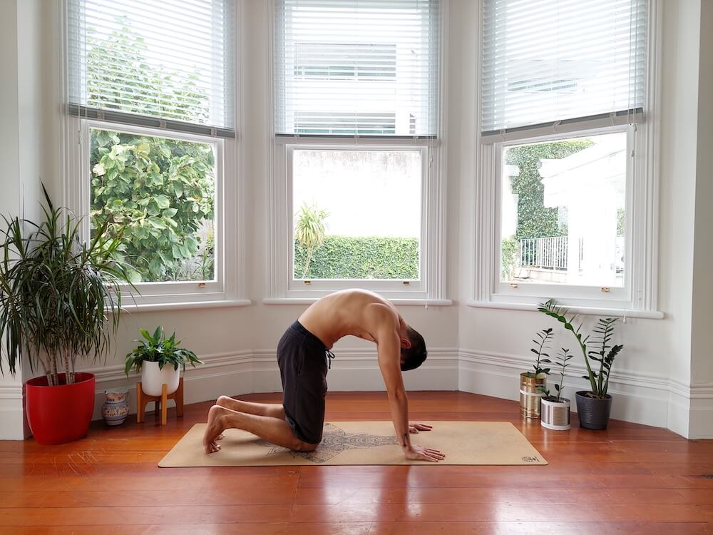 Jaroslav performing yoga cat stretch