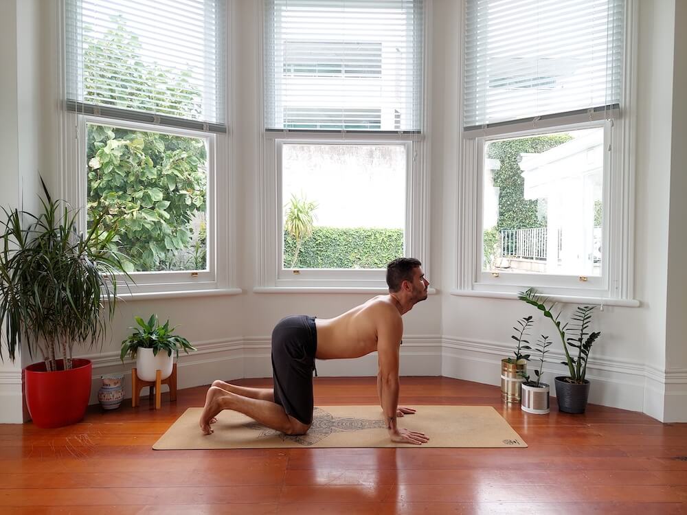 Jaroslav performing yoga cow stretch