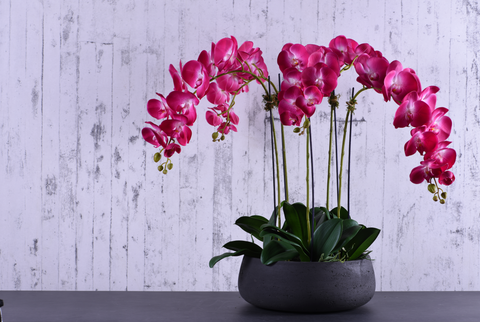 Bloomr Oasis Orchid | Luxury Faux Orchids