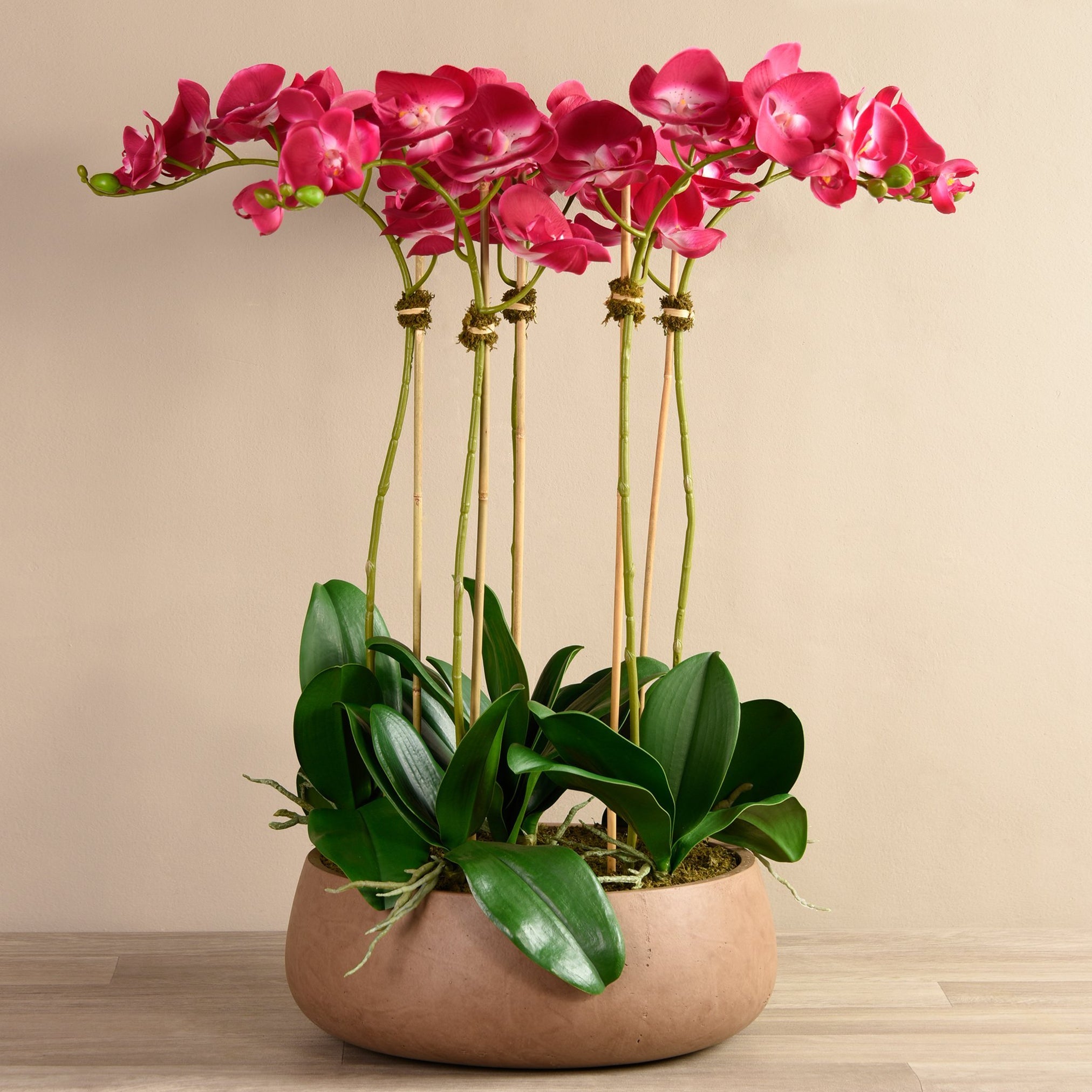 buy artificial orchids