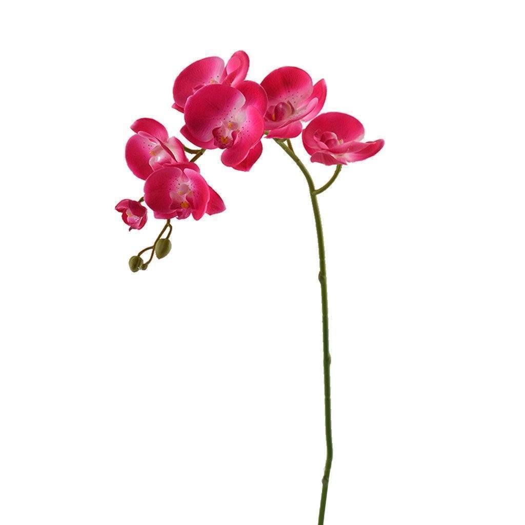 buy silk orchids