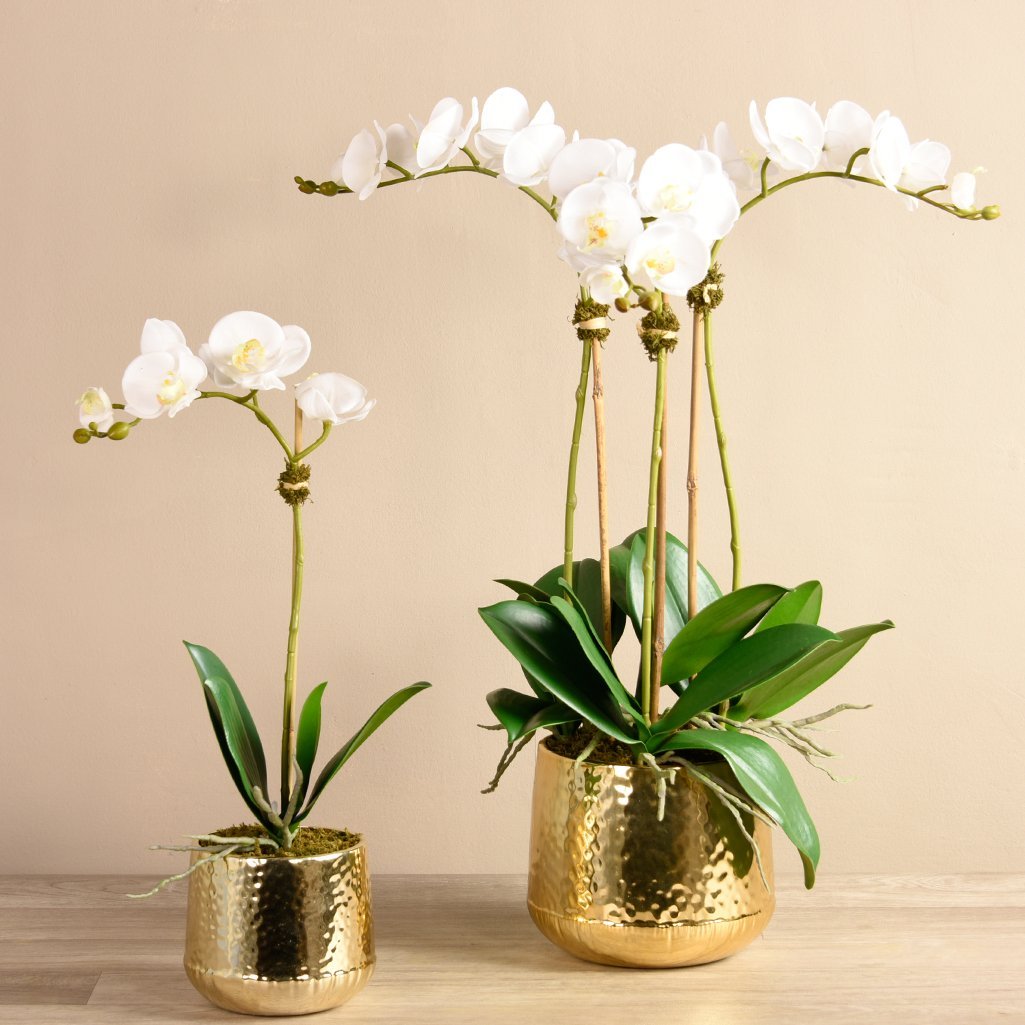 where to buy artificial orchids