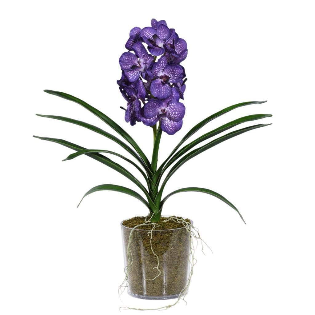 buy artificial orchids