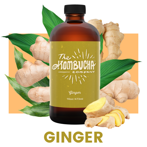 Ginger Flavor The Kombucha Company