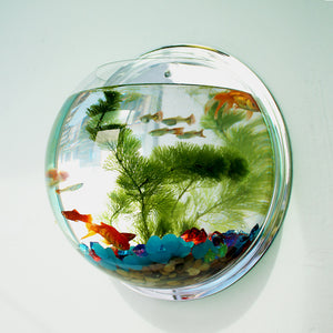 Wall Mounted Hanging Aquarium Tank Acrylic Round Fish Bowl
