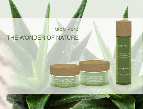 Aloe Vera Product Line