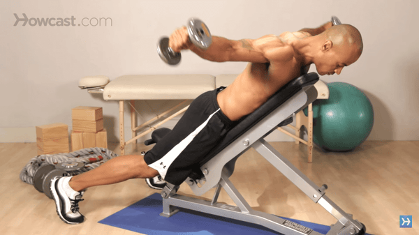 Reverse Dumbbell Fly