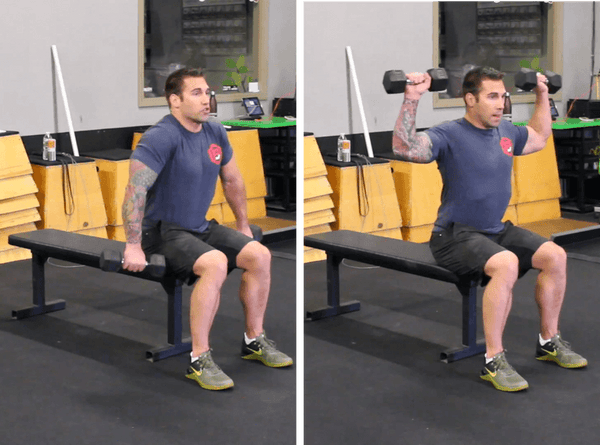 Seated Dumbbell Clean 